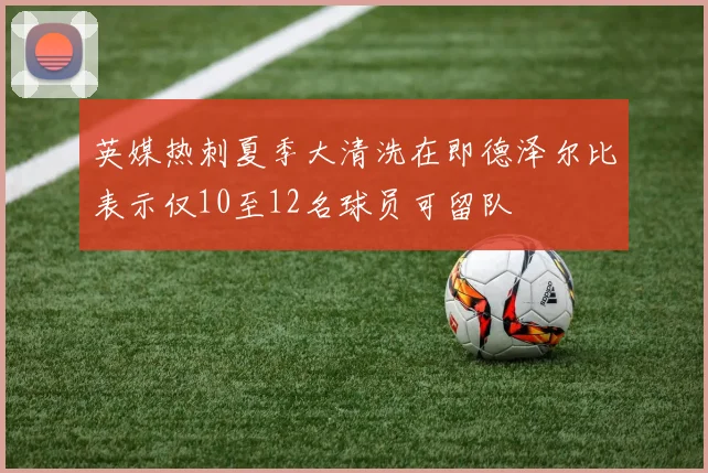 英媒热刺夏季大清洗在即德泽尔比表示仅10至12名球员可留队